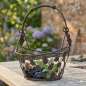 Preview: Pflanzkorb Tecla mittel ca. 36 cm - Gartendekoration